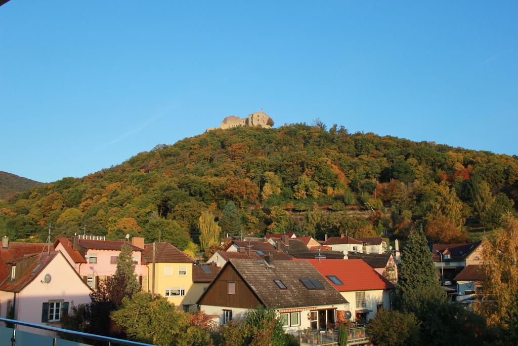 Gaestehaus Rebenhof Hotel Neustadt an der Weinstraße Kültér fotó